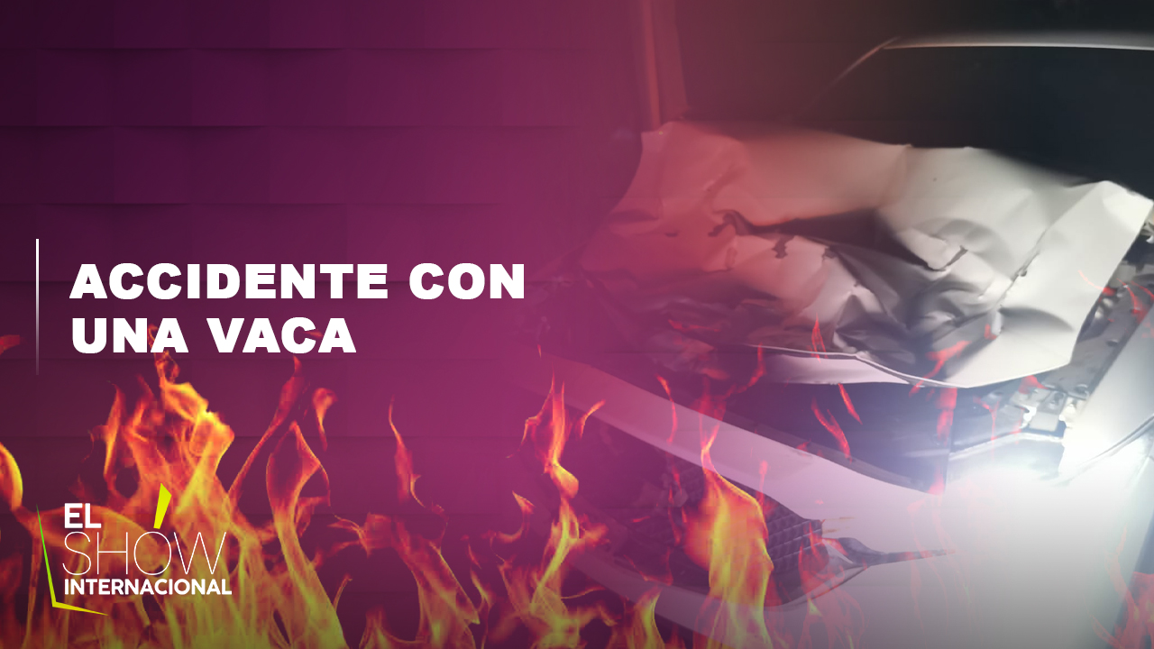 Comunicadora Del Show Internacional Sufre Aparatoso Accidente Contra Una Vaca