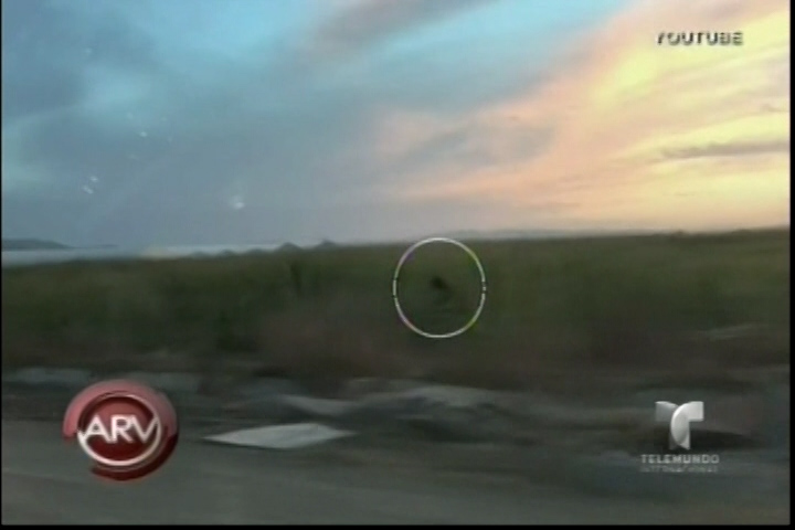 Avistamiento De Bigfoot Sorprende En Utah