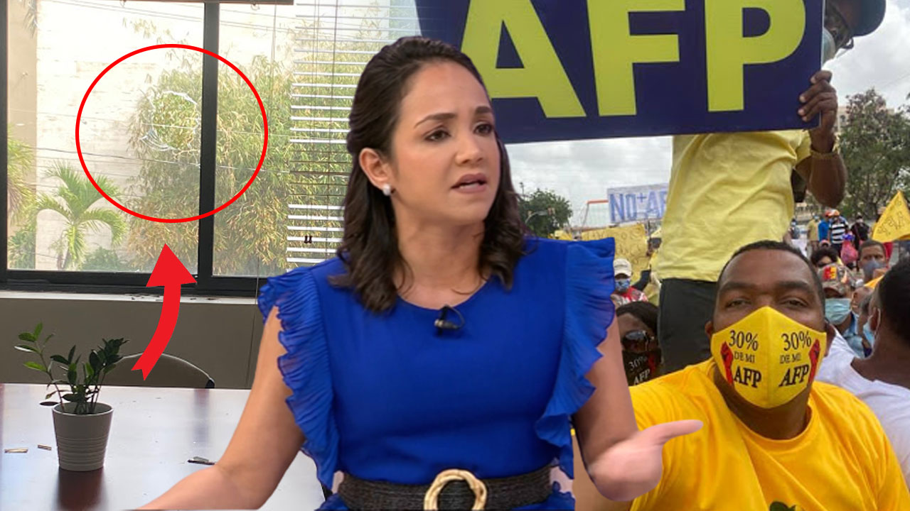 Faride Raful Narra Todo Lo Ocurrido En Su Oficina En El Senado Tras Protesta Por El 30% Del AFP