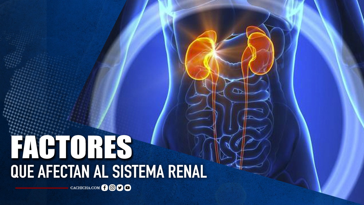 Nefrólogo Habla Sobre El Equilibrio De Factores Que Afectan Al Sistema Renal | Tu Tarde