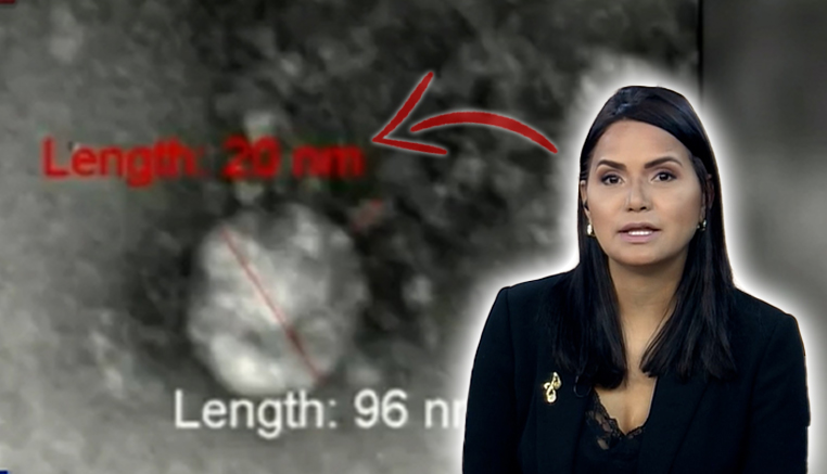 La Primera Imagen Evidenciada Y Publicada De LA NUEVA CEPA DEL CORONAVIRUS