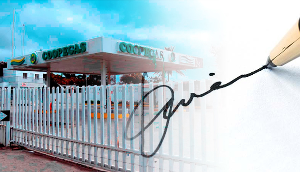 Supuesta Falsificación De Firma De Regidora De Licey En Un Documento De La Envasadora Coopegas