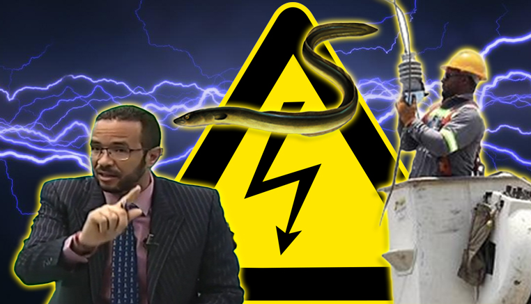 Edison Meléndez: “Se Aproxima La Operación Anguila Y Va A Dar Mucha Corriente”