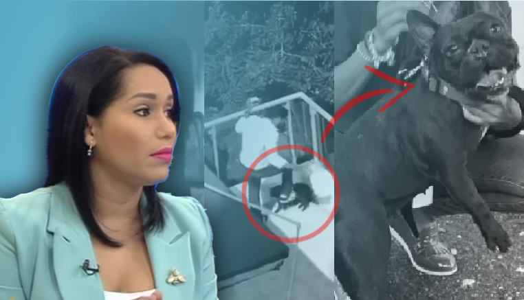 Lorenny Solano: “Arturo Nanita Es Un COBARDE”