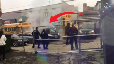 Esto Pasa Cuando Policías De Nueva York Mandan A Parar A Un Conductor De Autobús Y No Obedece