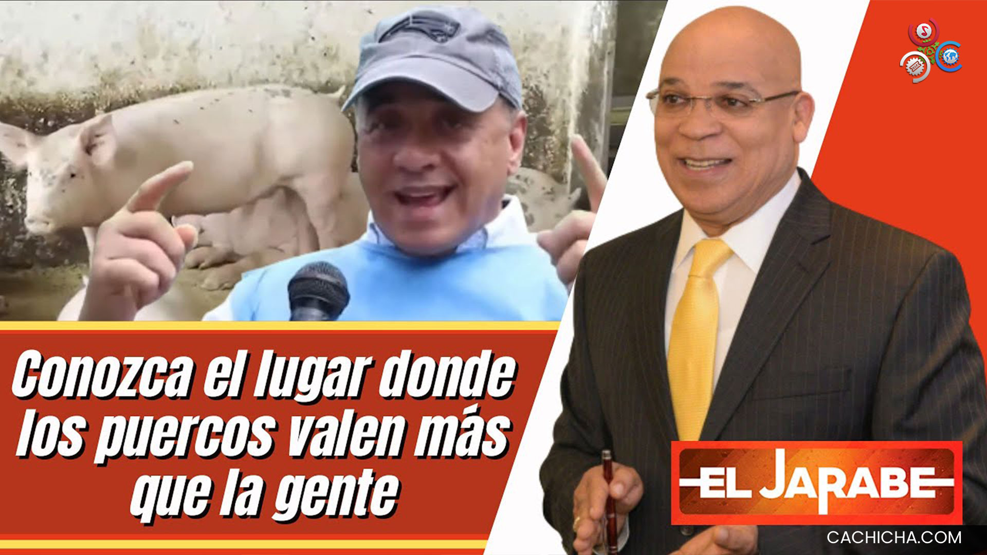 El Lugar Donde Los Puercos Valen Más Que La Gente