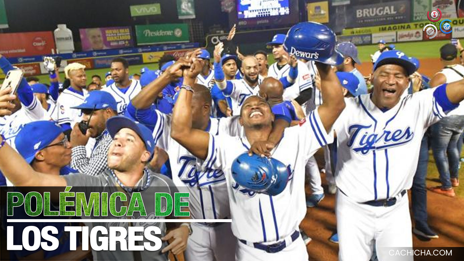 Trabajar Con Los Tigres Del Licey Es “caótico Y Traumatizante”
