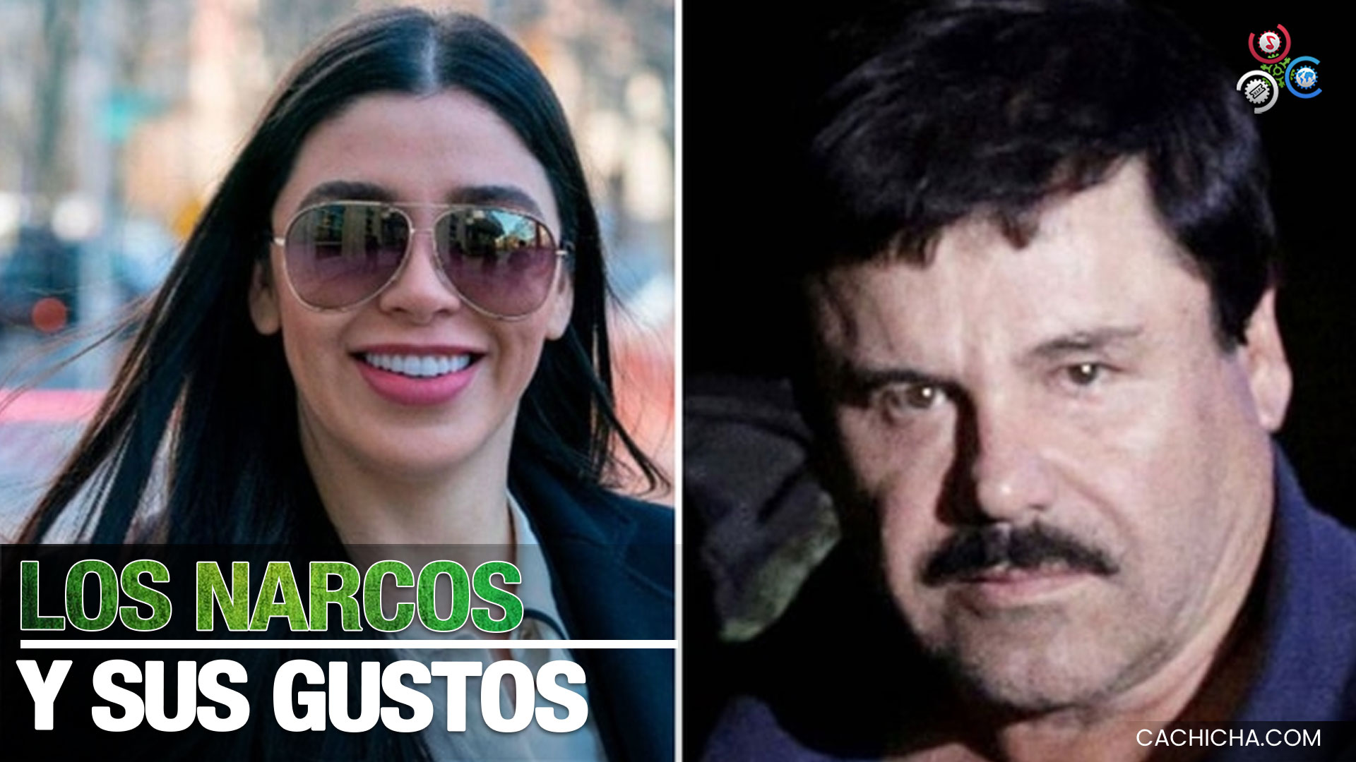 Los Narcos Prefieren Mujeres De Los Concursos De Belleza