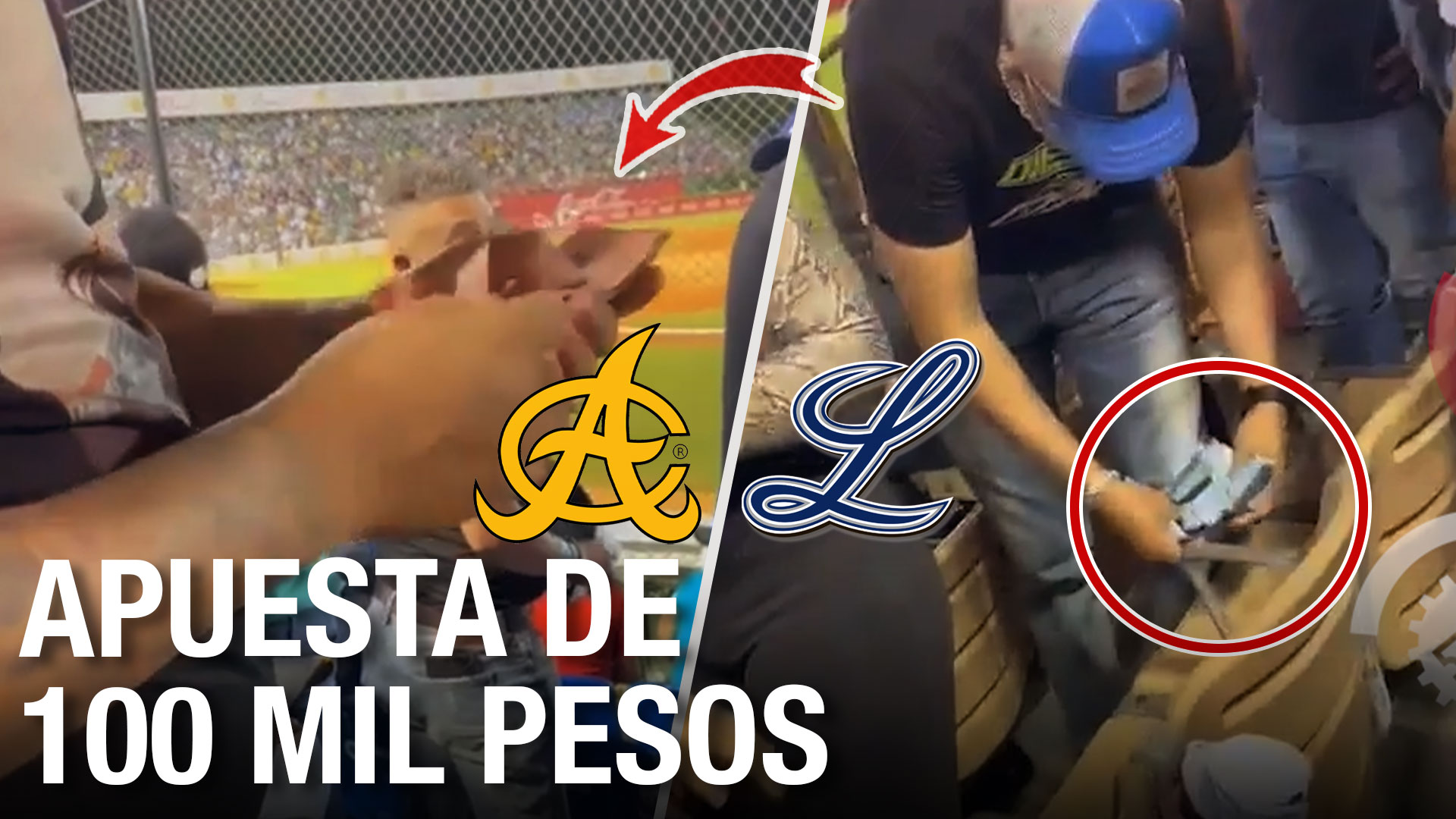 Fanáticos Del Águila Y Licey Hacen Tremenda Apuesta De 100 Mil Pesos En El Estadio 