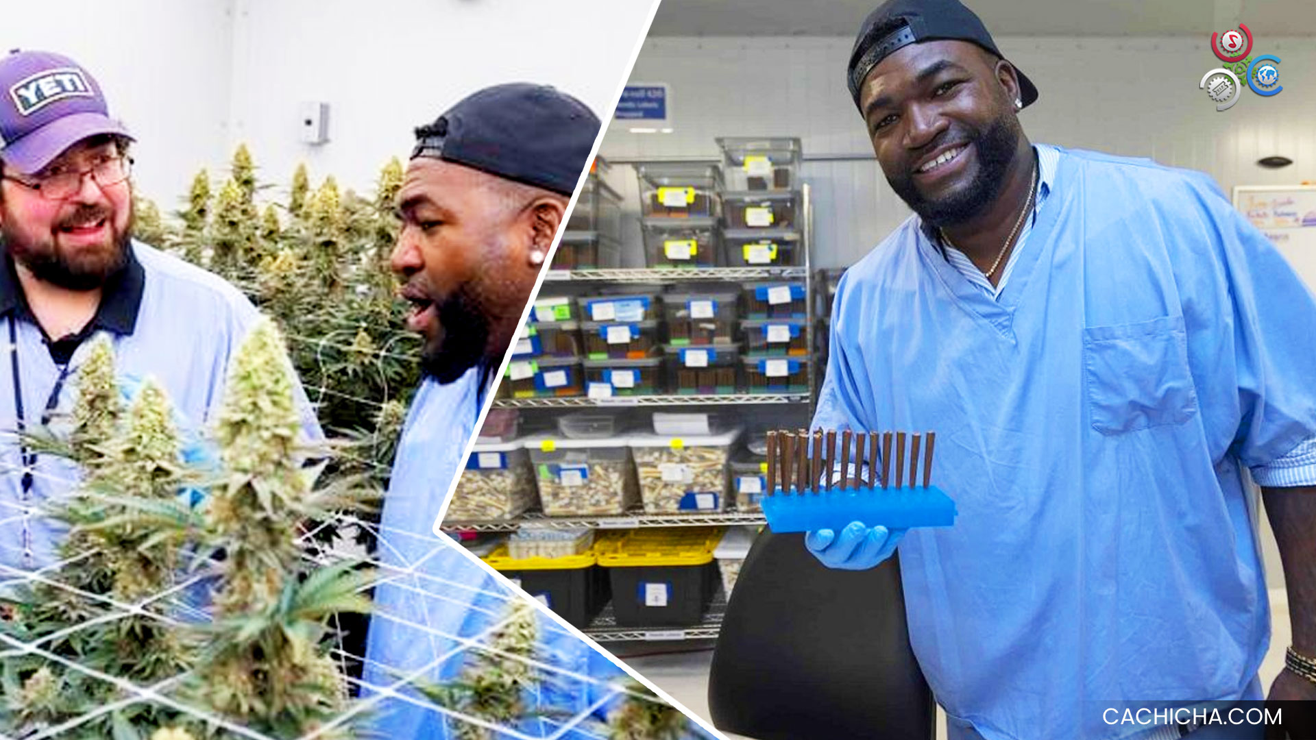 Raphy Dice Perder Admiración Al “Big Papi” Por Negocio De Cannabis