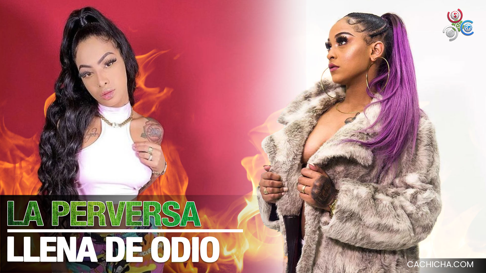 La Perversa Llena De Odio Y Envidia Contra Yailin La Más Viral