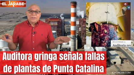 Auditora Gringa Señala Fallas De Plantas De Punta Catalina