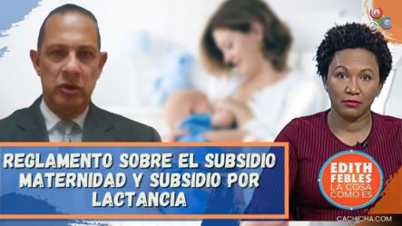 Reglamento Sobre El Subsidio Maternidad Y Subsidio Por Lactancia