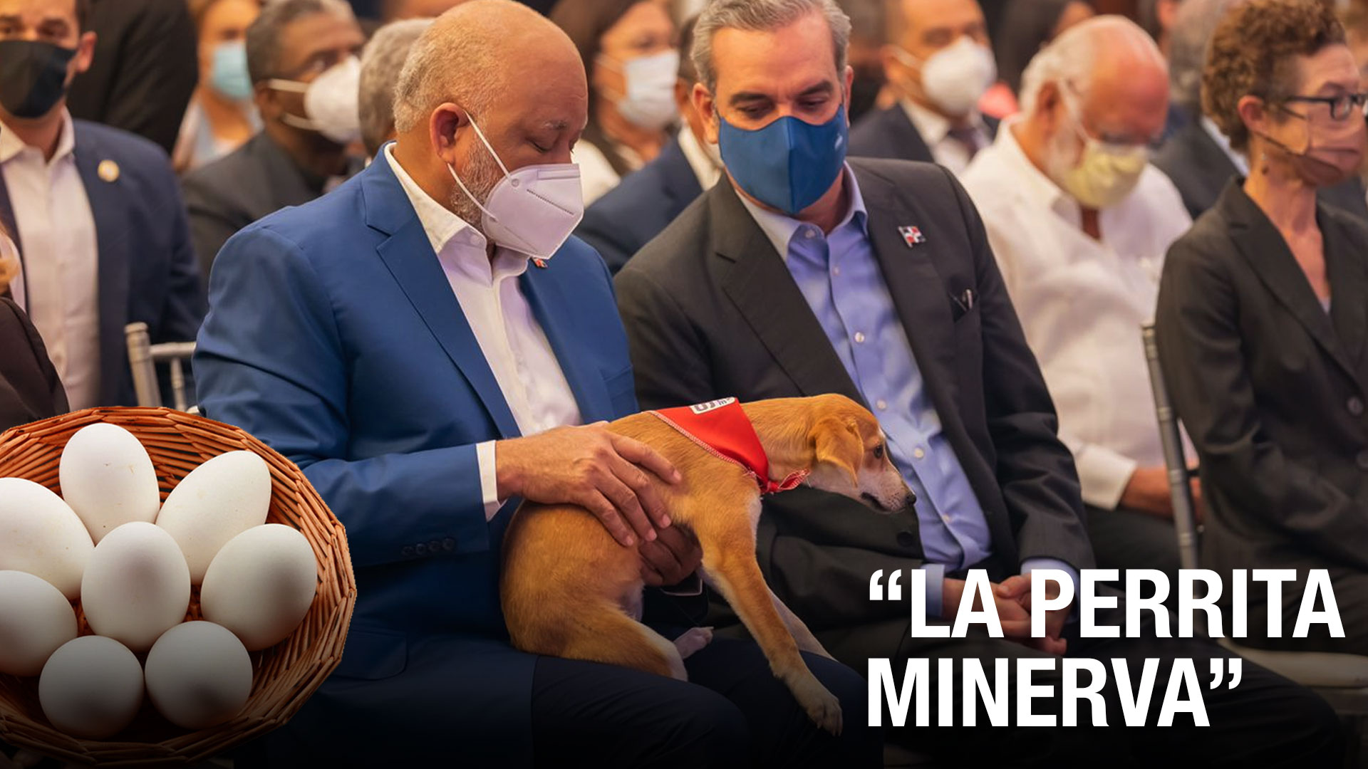 Le Dan Con Todo Al Ministro Fulcar Por Llamar A Una Perrita ‘Minerva’ | No Tuvieron Piedad 