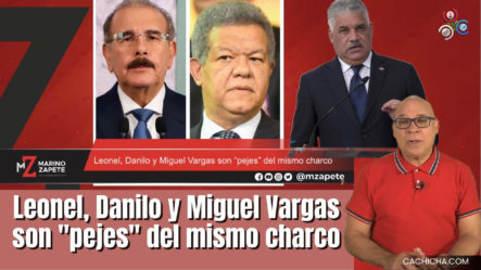 Leonel, Danilo Y Miguel Vargas Son “pejes” Del Mismo Charco