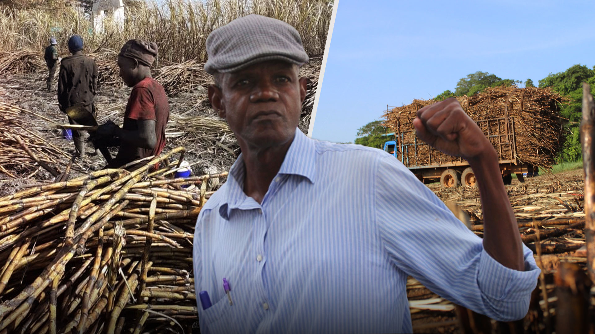 Buenas Noticias Para Los Trabajadores Cañeros | El Aumento Salarial Esperado 