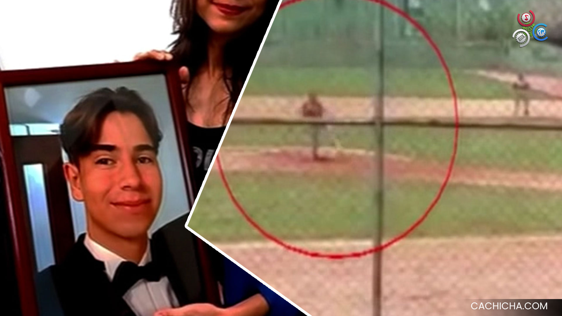 Recibió Un Pelotazo En El Pecho Que Le Paralizó El Corazón