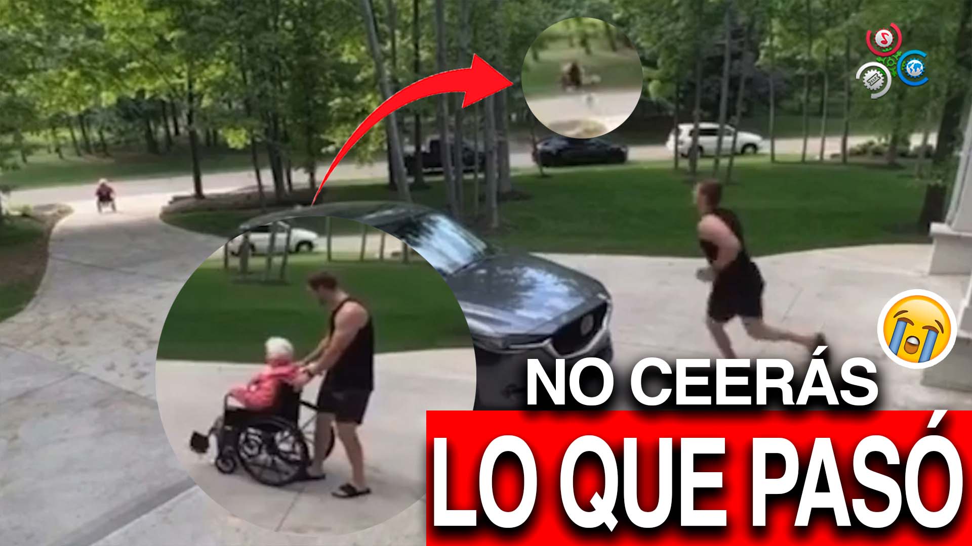 Joven Deja A Su Madre En Silla De Ruedas Y No Lo Pone Los Frenos | No Creerás Lo Que Pasó Después