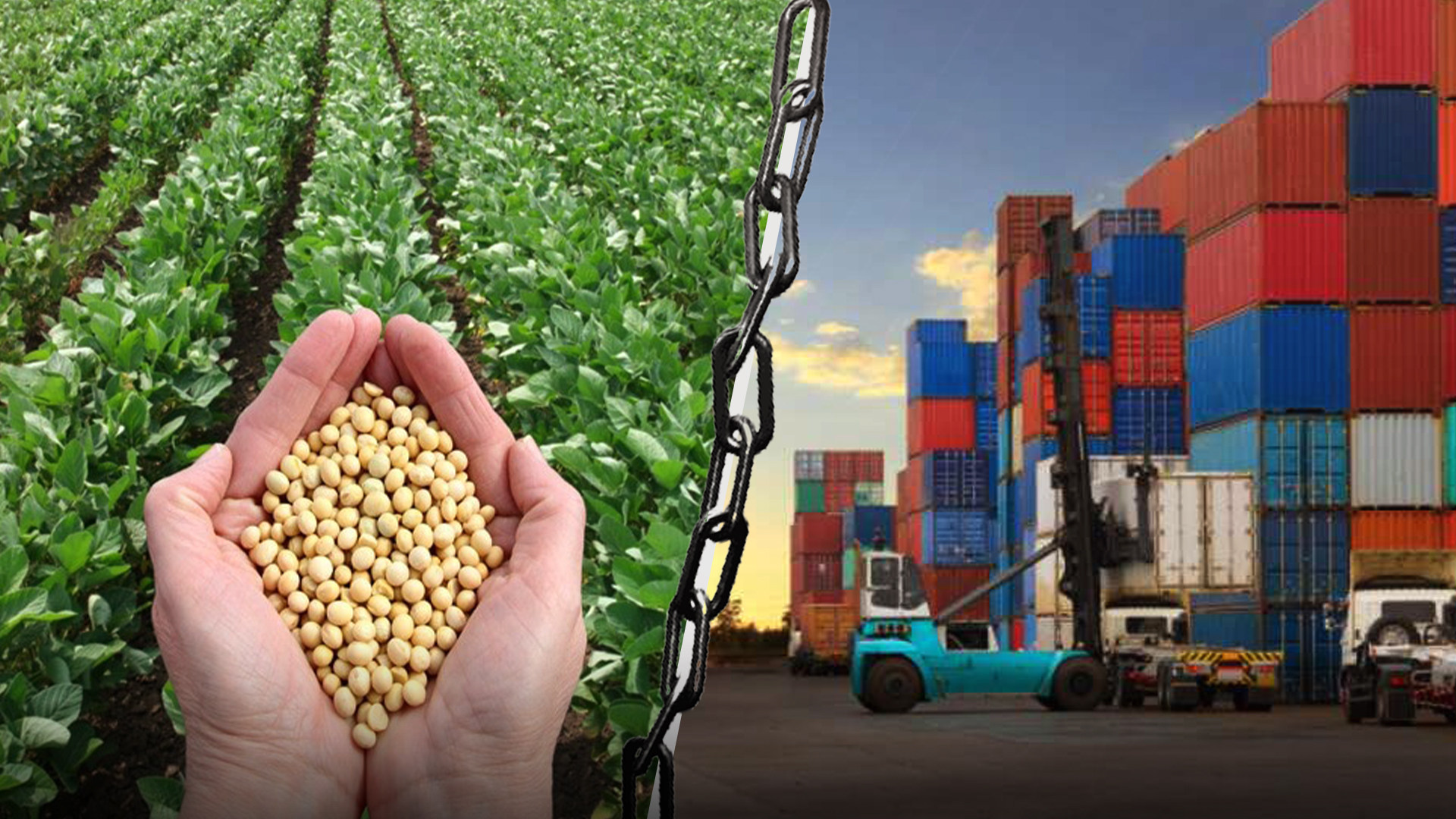 Consideran Un Gran Error Del Gobierno Aplicar El Cero Aranceles | Una Gran Perdida Para El País 