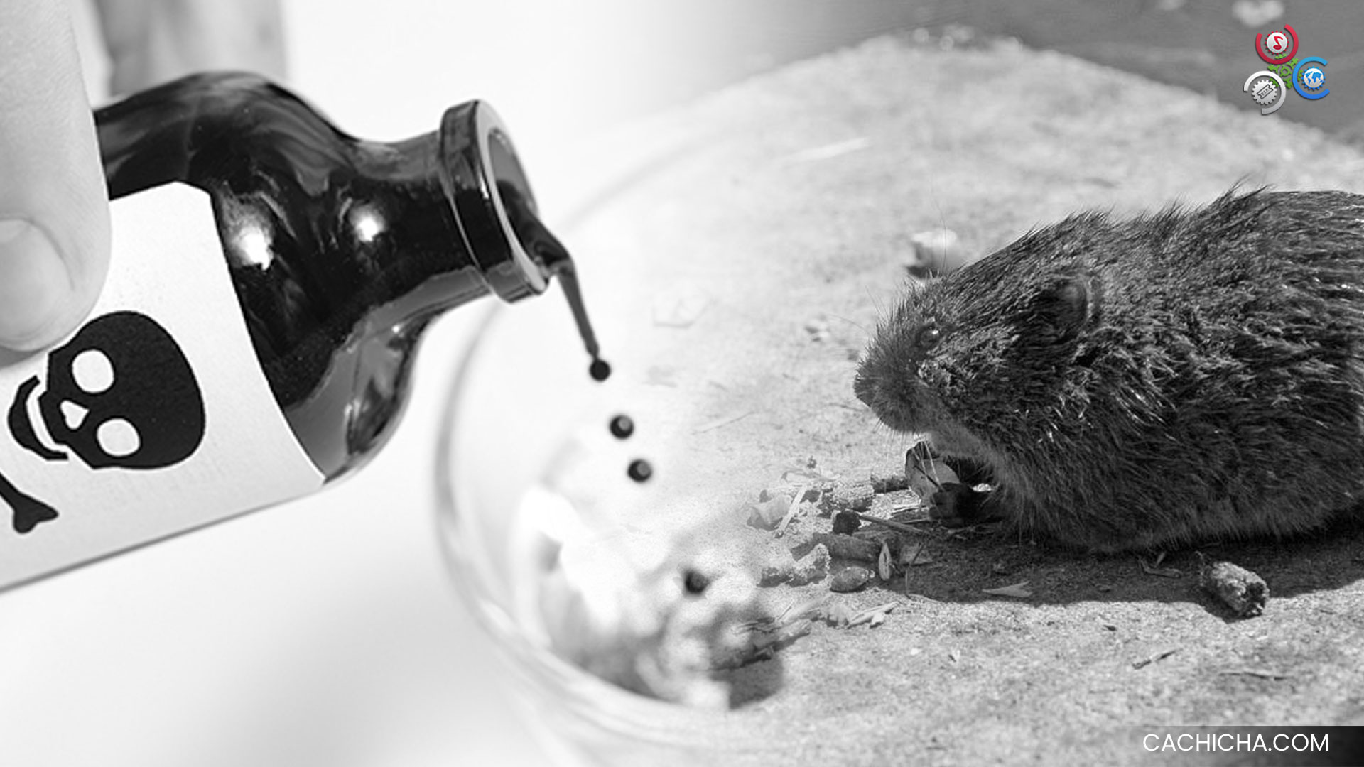 Madre Supuestamente Poseída Acaba Con La Vida De Sus Cuatro Hijos