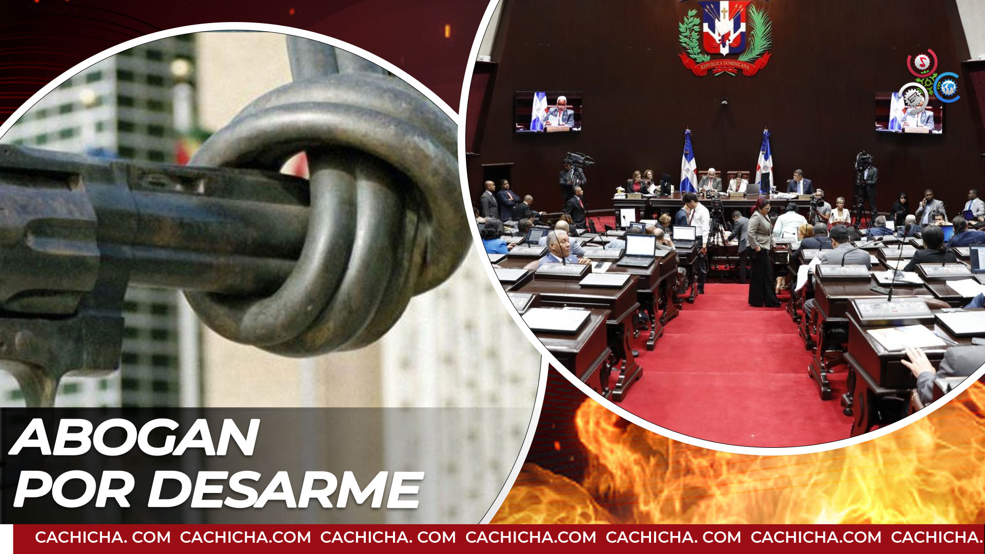 Legisladores Abogan Por Desarme Tras  “feminicidios”