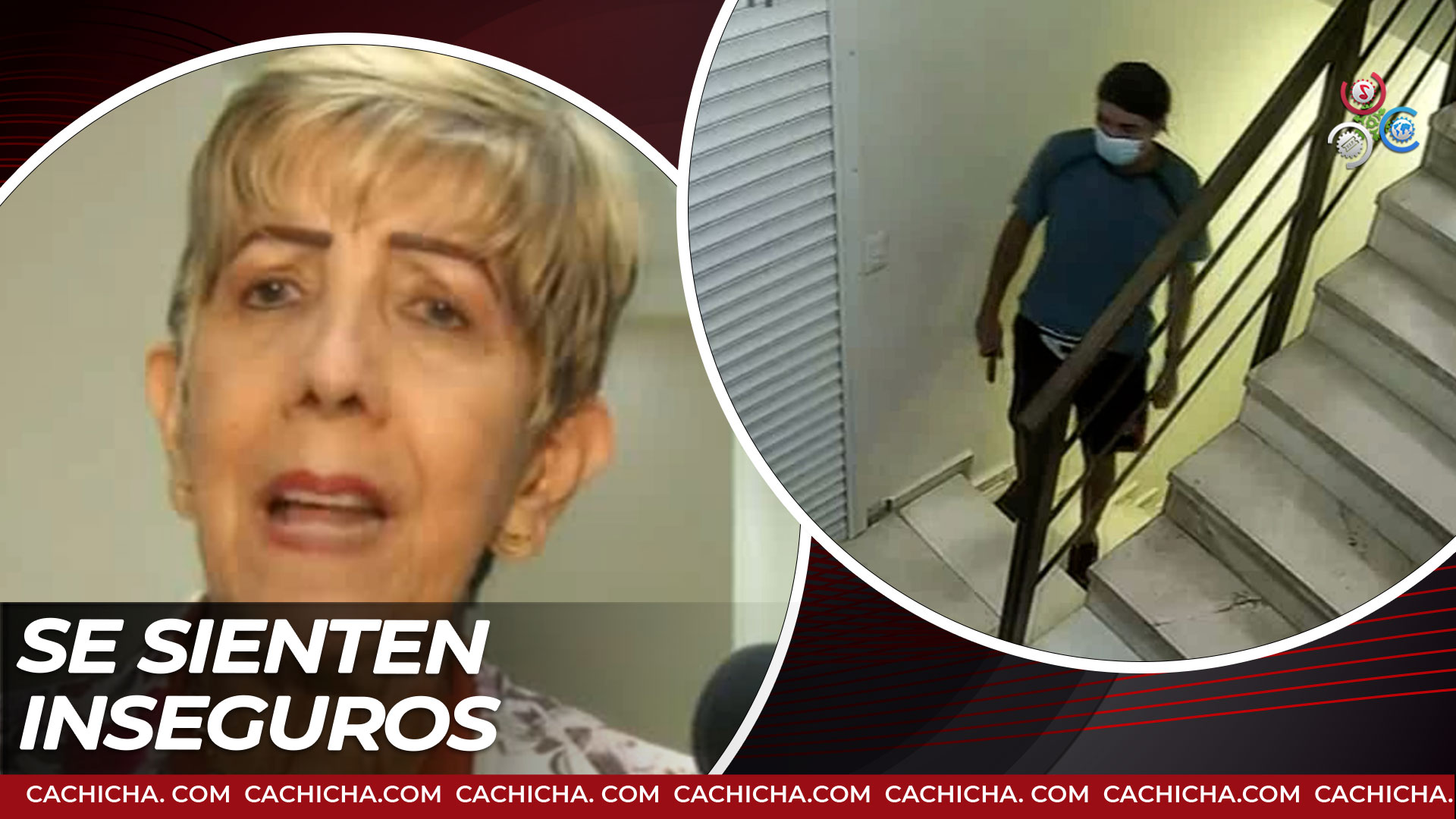 Senadores Dicen Sentirse Inseguros Ante Delincuencia