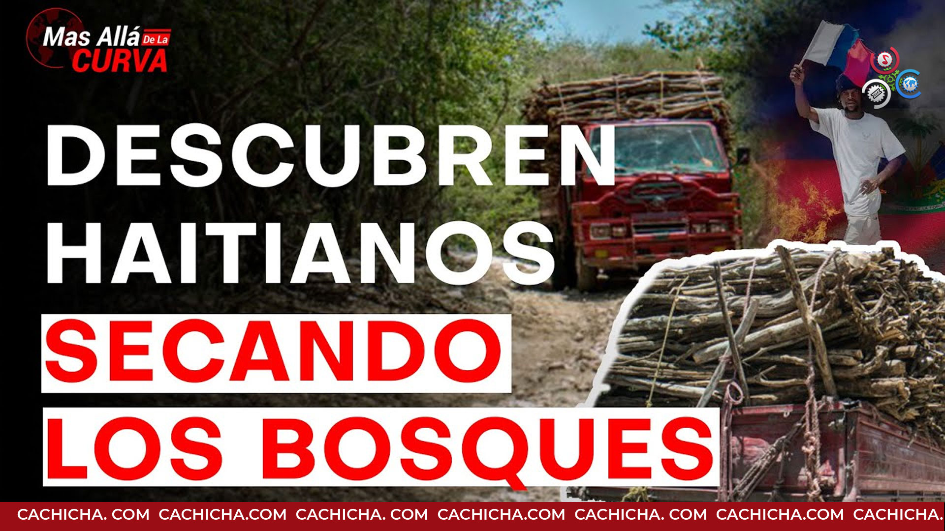 Negocio Millonario De Los Haitianos En RD; Descubren Kilómetros De Bosques Destruidos
