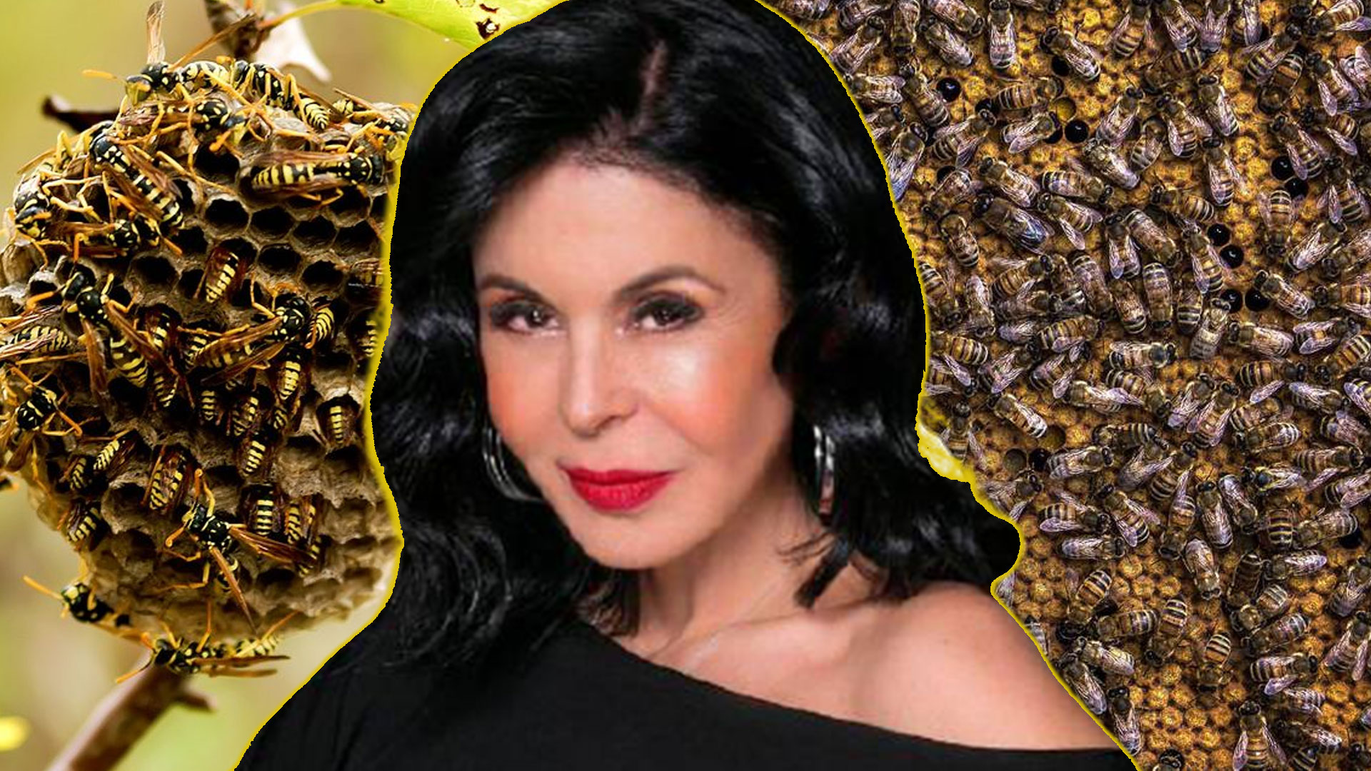 Maria Conchita Alfonso Da Declaraciones Sobre El METOO Y Alborota AVISPERO
