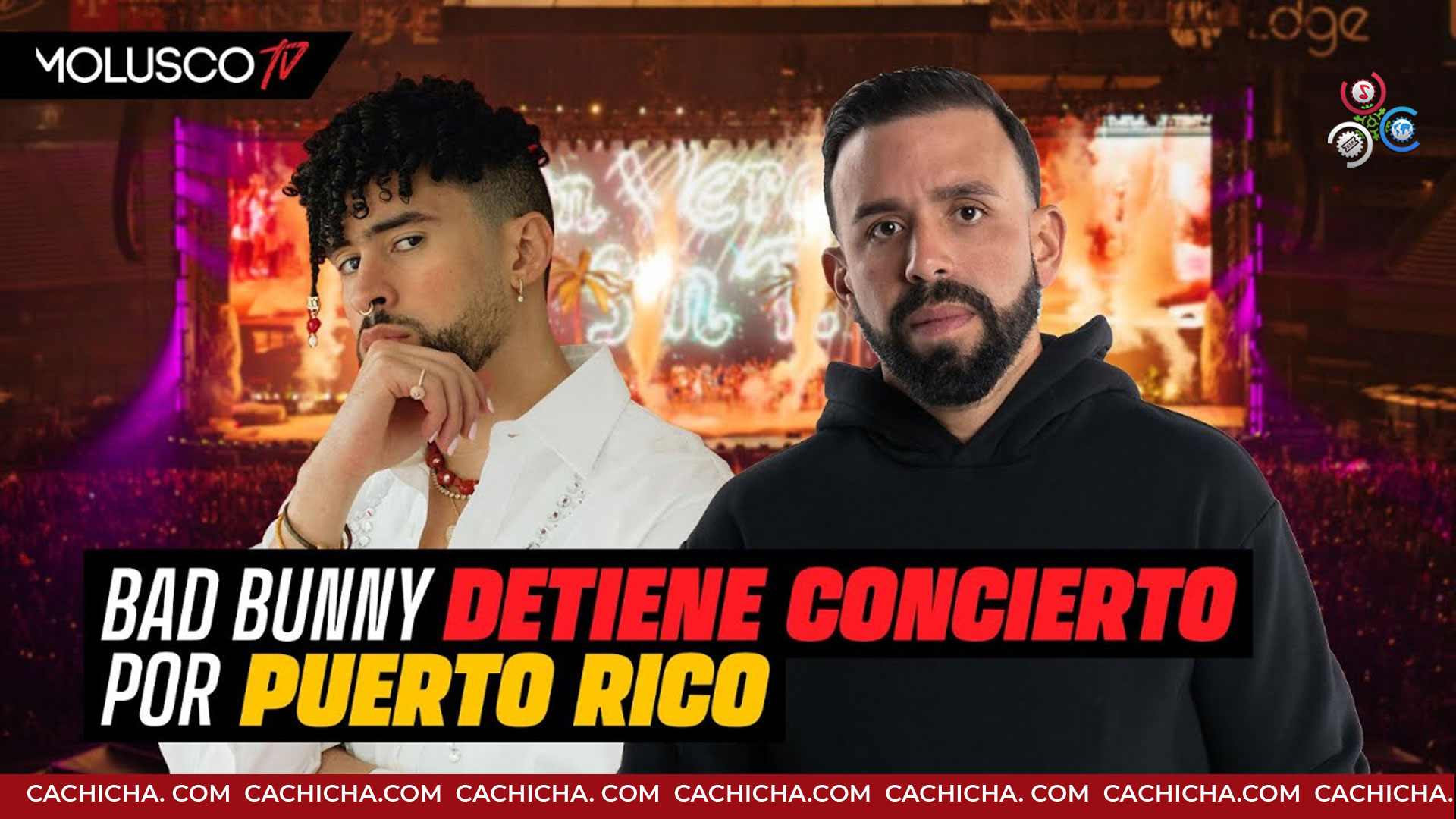 “Bad Bunny Podría Arruinar Su Carrera Por La Decisión Que Tomó”