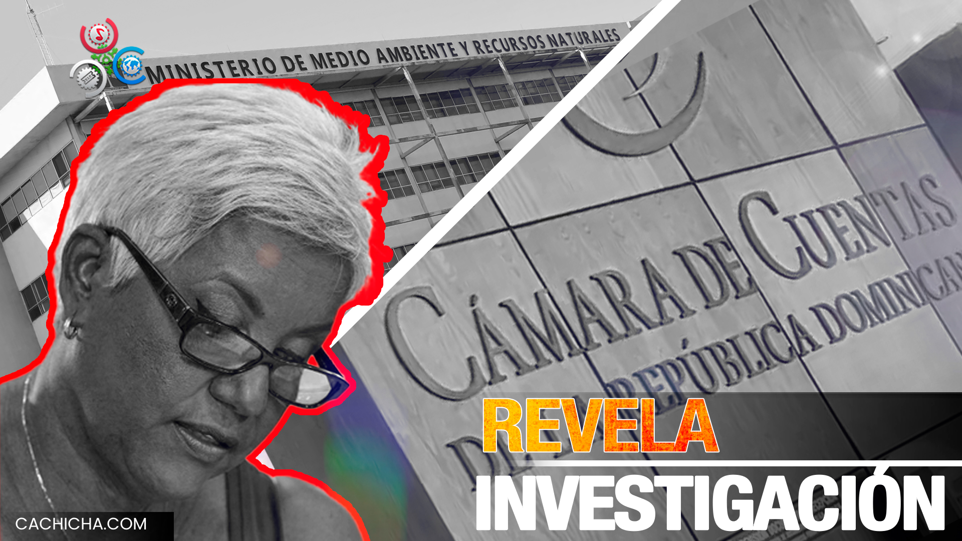 Investigación En Cámara De Cuentas Revela Irregularidades En Medio Ambiente