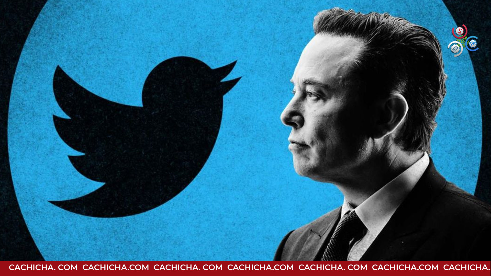 Elon Musk Confirma Propuesta De Compra A Twitter