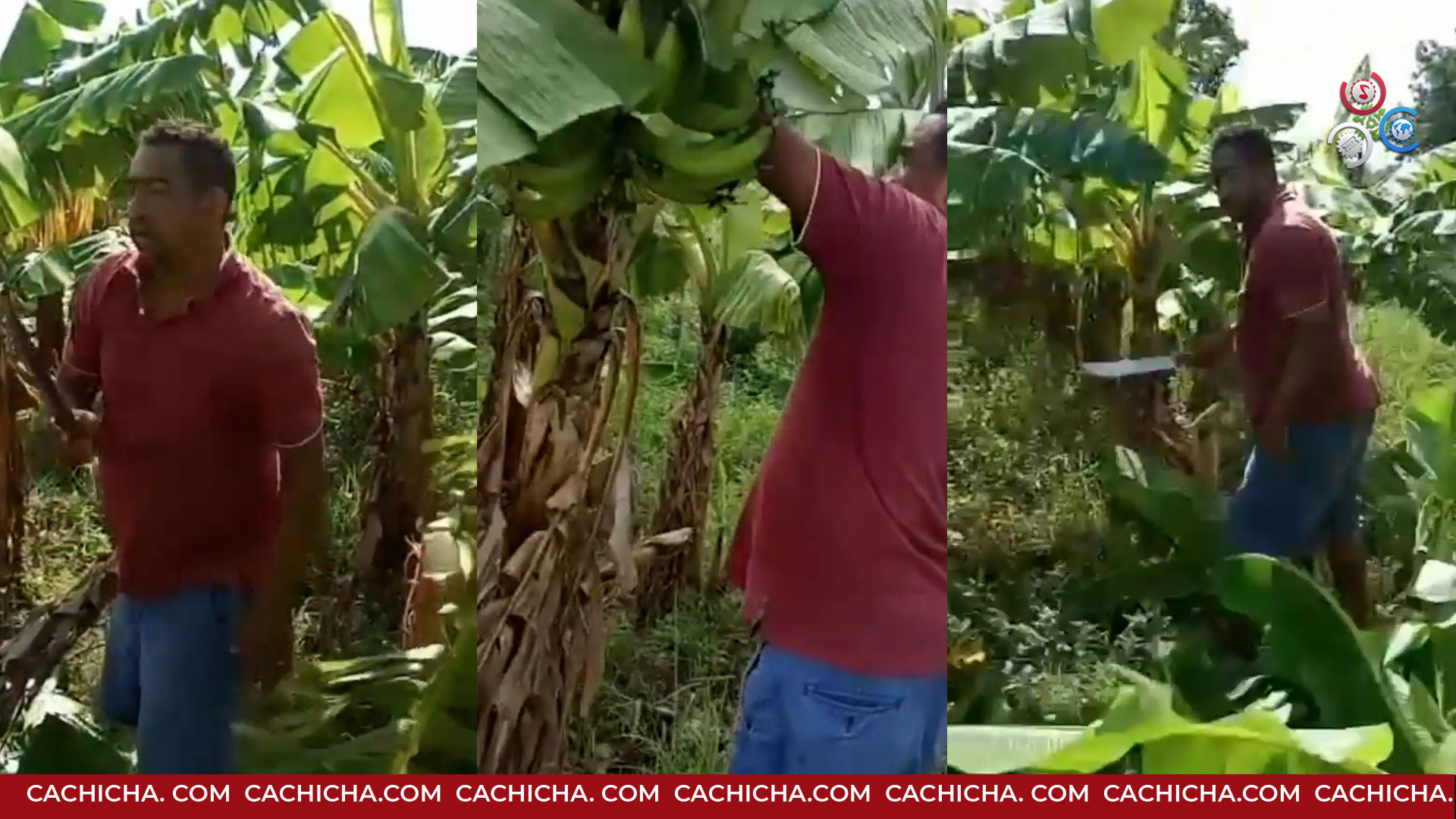 Nelsy Cruz Dice: “El Perremeísta Tiene Las Horas Contadas Para Disfrutar De Las Mieles Del Poder”