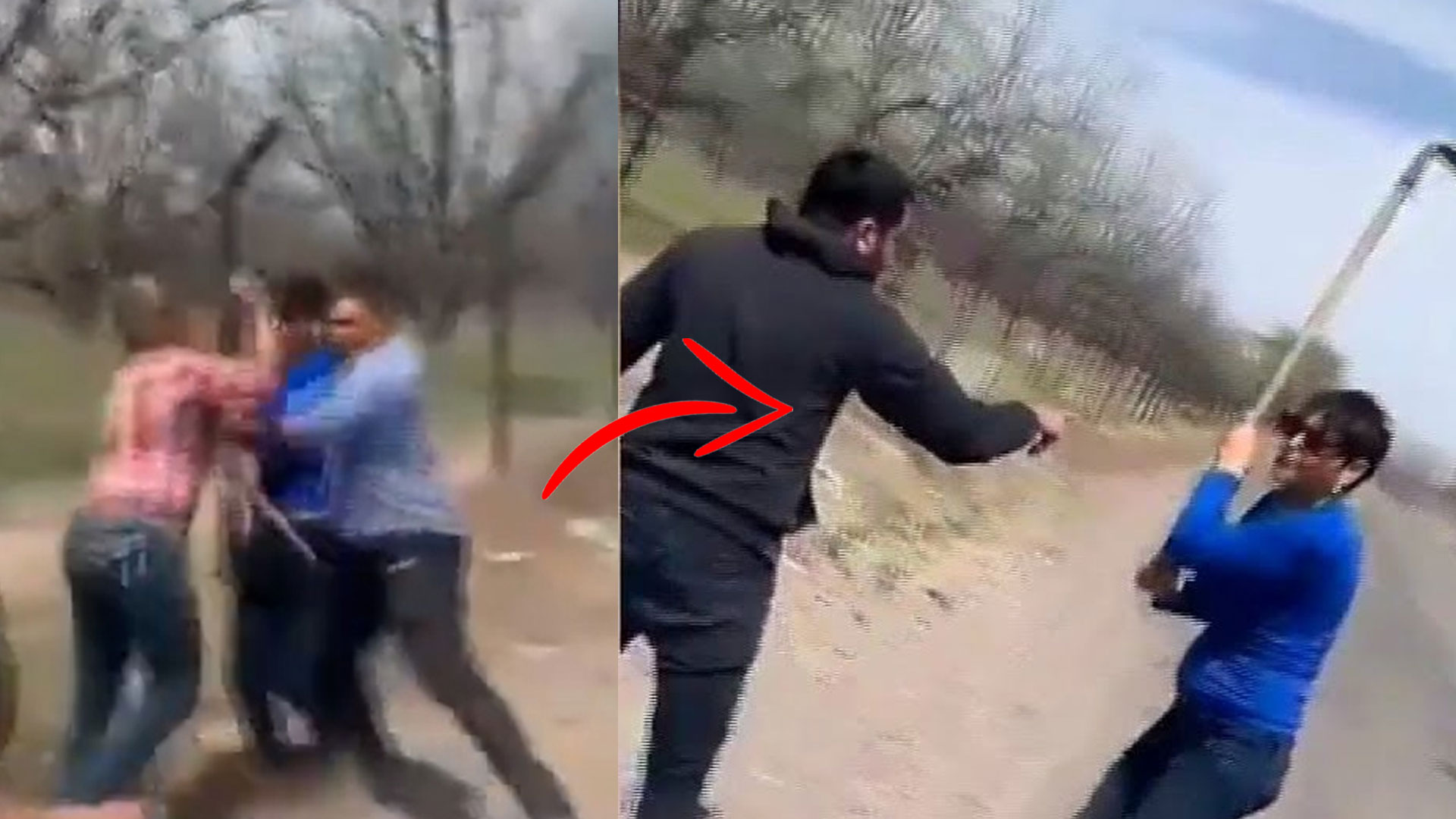 Apodan Mujer Como “Lady Azadón” Luego De Entrarle A Palo A Un Perro Y A Su Dueño En México