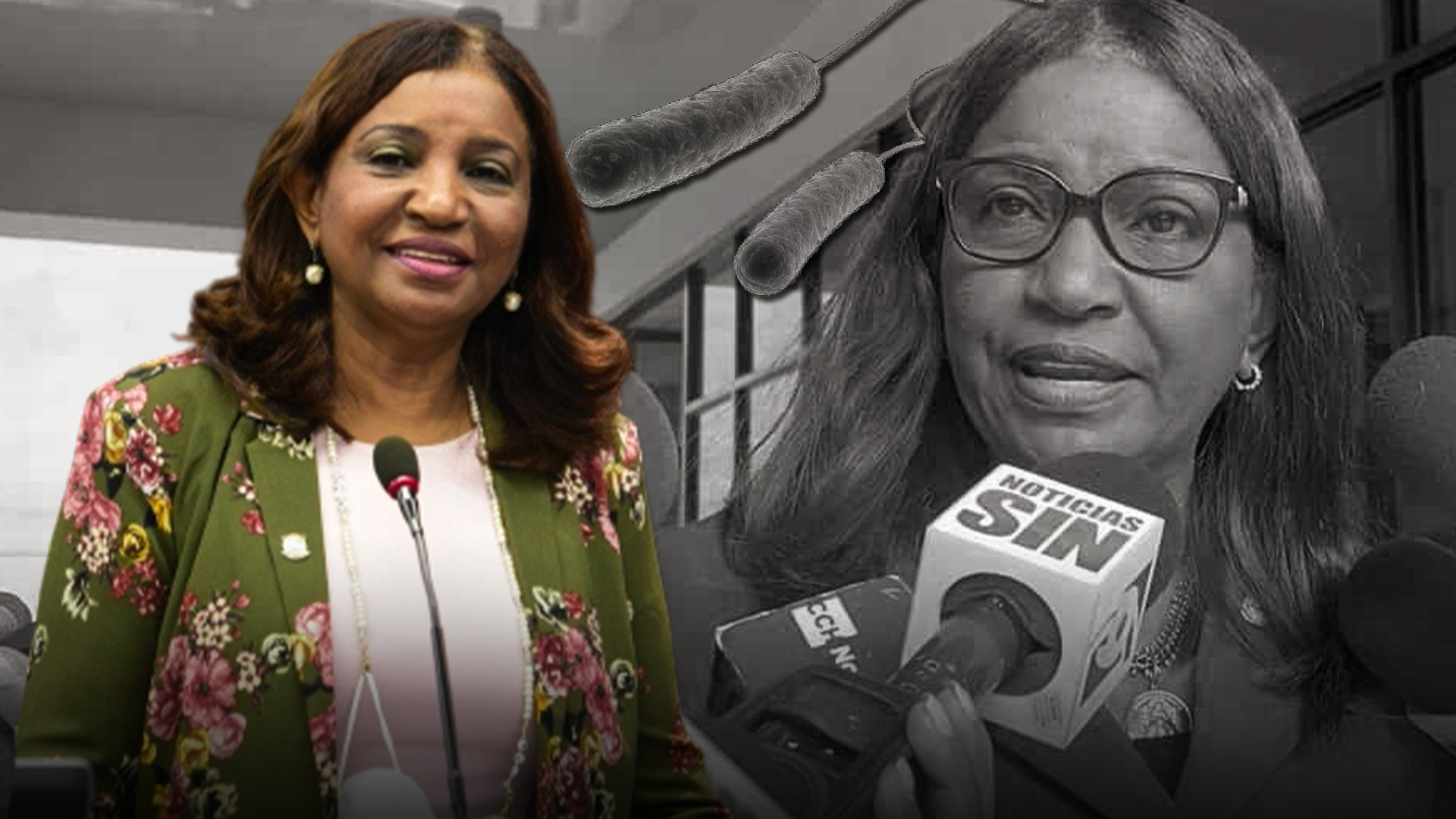 Diarrea Verbal, Mal Endémico En La Vida Dominicana |  Sin Maquillaje