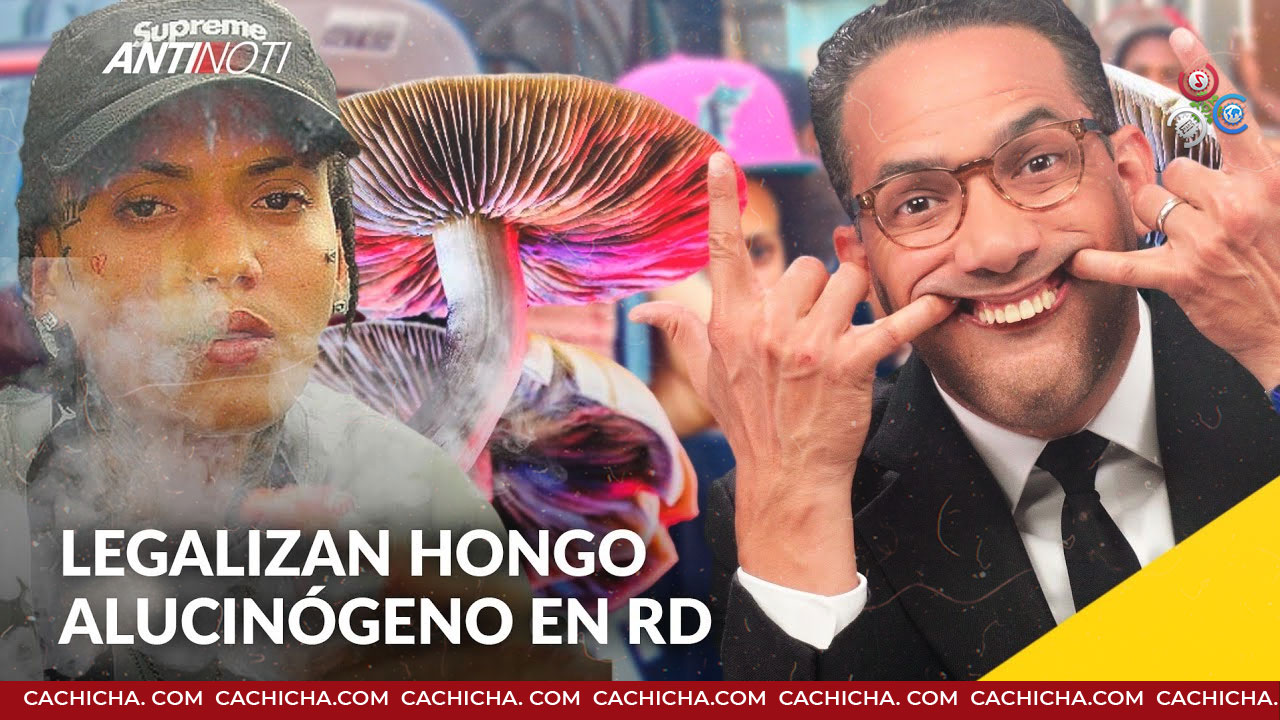 Legalizan Hongo Alucinógeno En RD [Onguito WA]