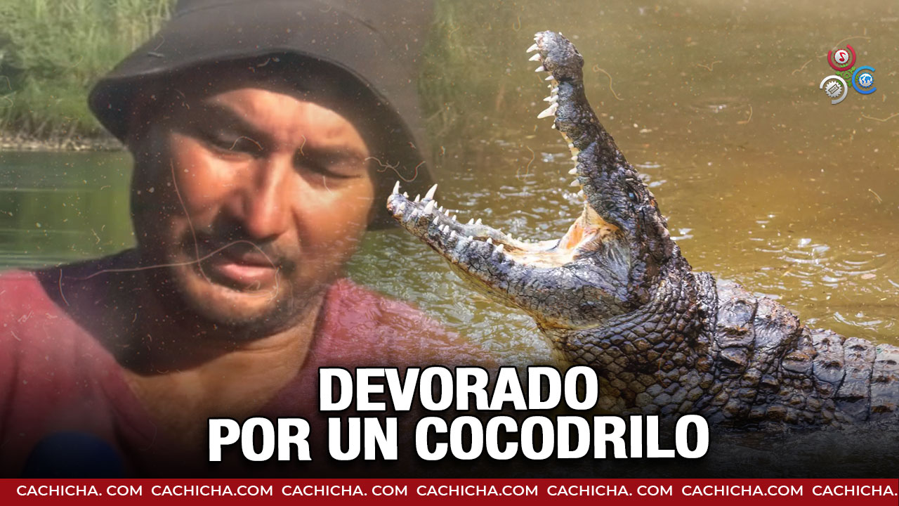 Niño De Ocho Años Es Devorado Por Un Cocodrilo