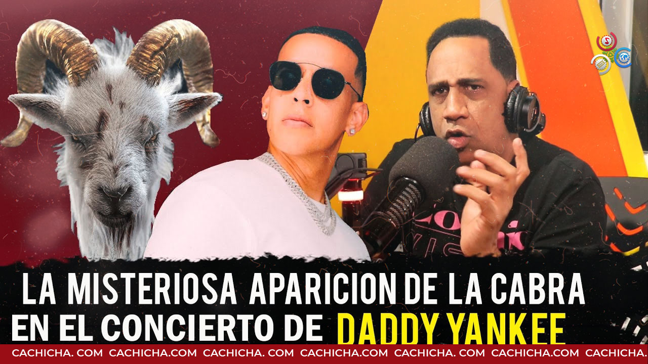 La Verdad Sobre La Cabra En Concierto De Daddy Yankee