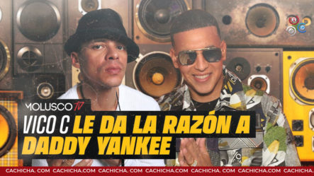 Vico C Le Da La Razón A Daddy Yankee En Entrevista Con Molusco