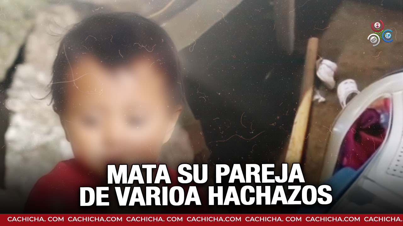 Periodista Apuesta 500 PESOS DE EMPANADAS Que Se Manejara Mal El Caso De LOS PASTORES ACRIBILLADOS