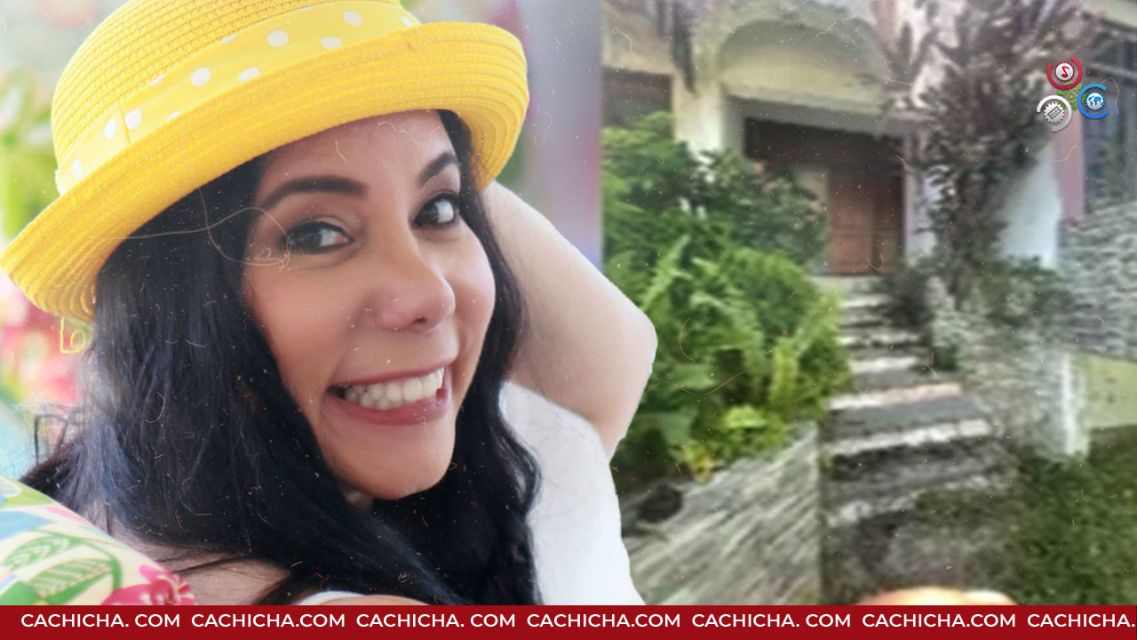 El Cocodrilo: “El Dominicano Por Todo Bebe, Todos Los Motivos Son Bebibles” En | Buena Noche