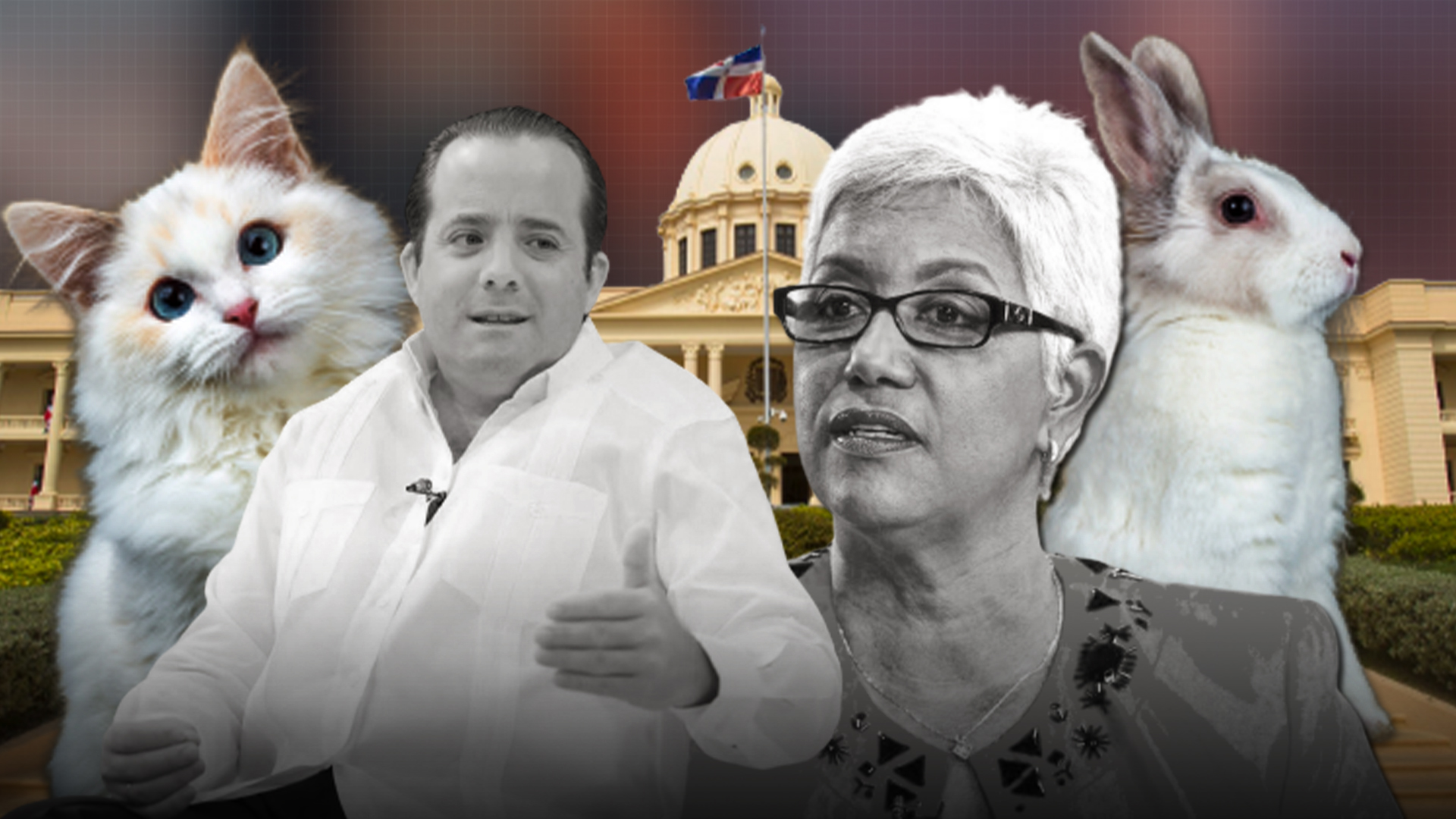 Nos Quieren Vender “Gato Por Liebre” | Palabras De Altagracia Salazar Sobre El Gobierno 