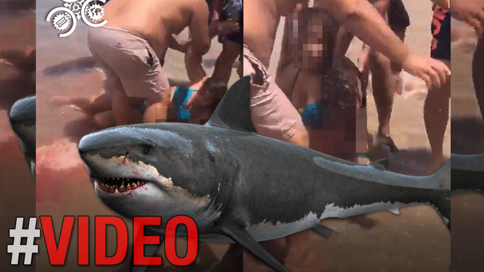 En El Pacha Extra Salen En Defensa Del Director De La Policía Edward Sánchez “El Solo Tiene 7 Meses”