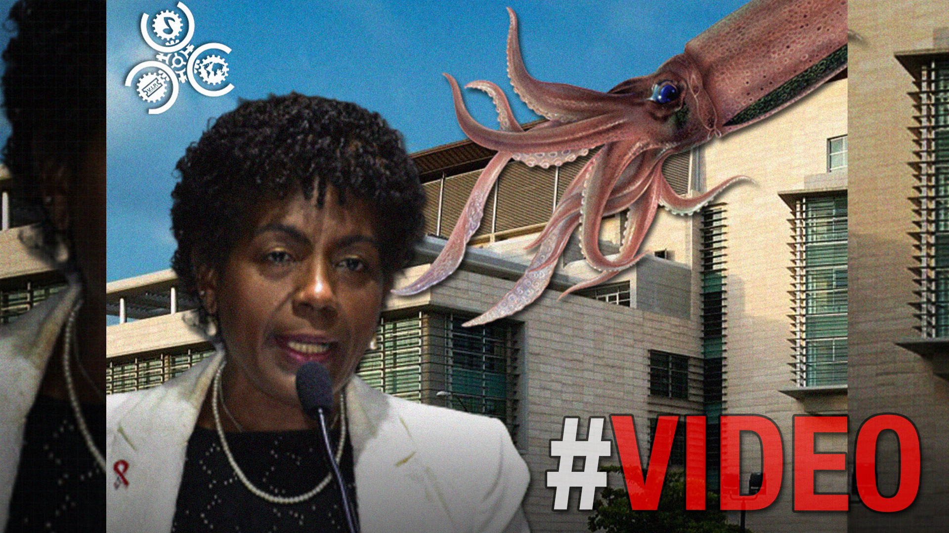 “No Existen Corruptos Preferidos”: Participación Ciudadana Respalda Acciones Del MP