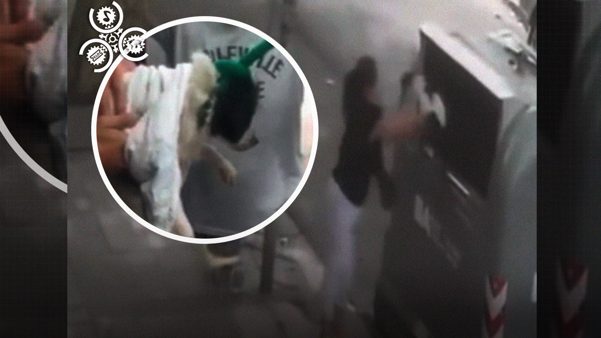 Captado En Cámara Momento En Que Una Mujer Tira Un Perrito A La Basura