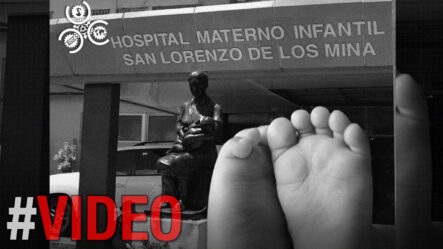 En Tres Meses Fallecieron 72 Niños En Maternidad De Los Mina