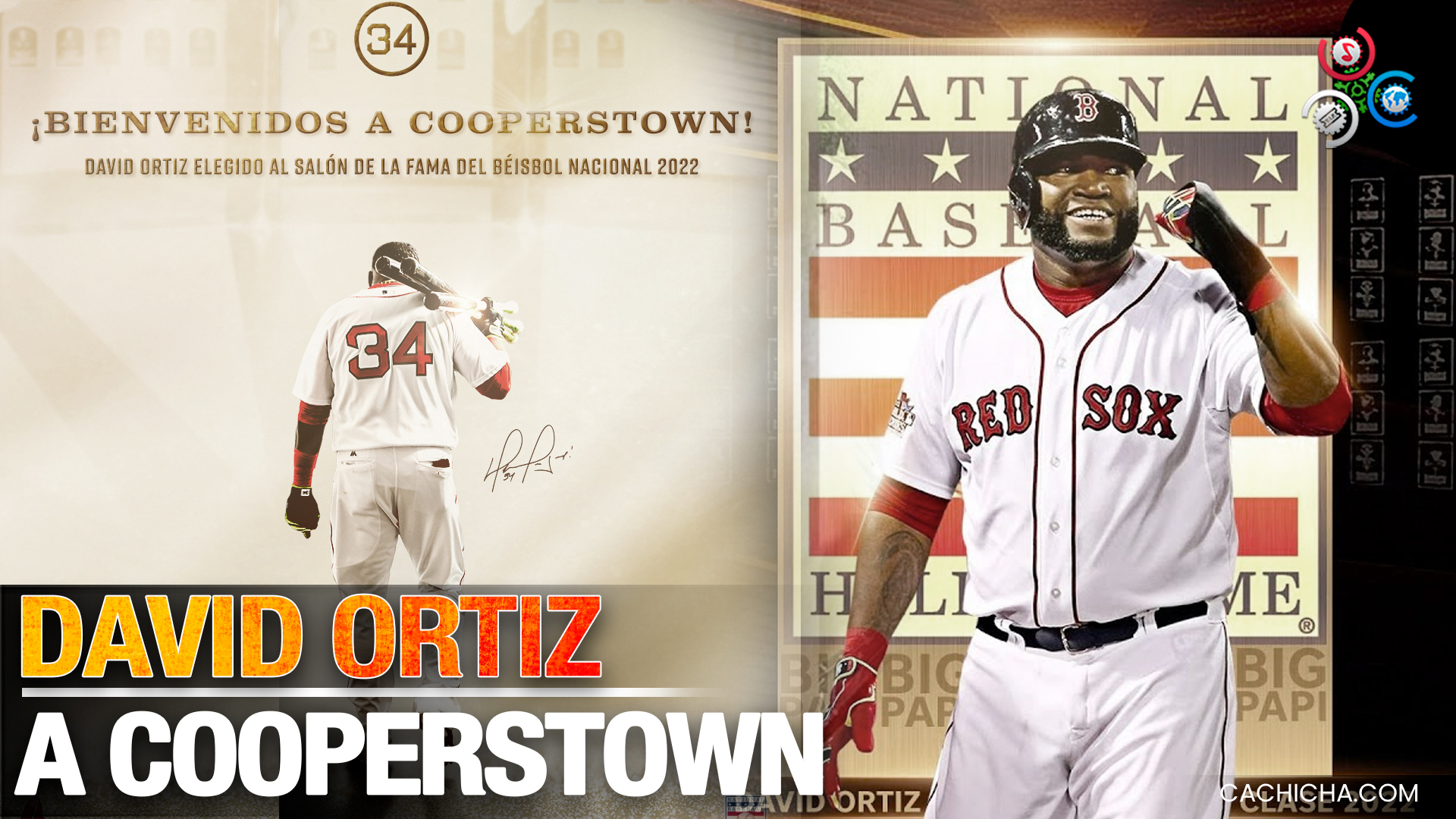 David Ortiz Rumbo A Cooperstown