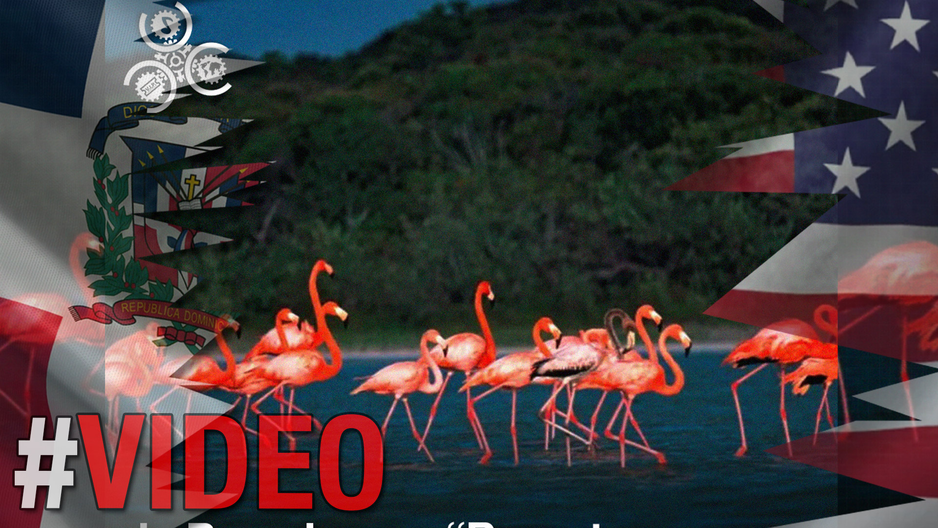 EE.UU. Teme De Extinción De Aves En Pedernales | Hoy Mismo