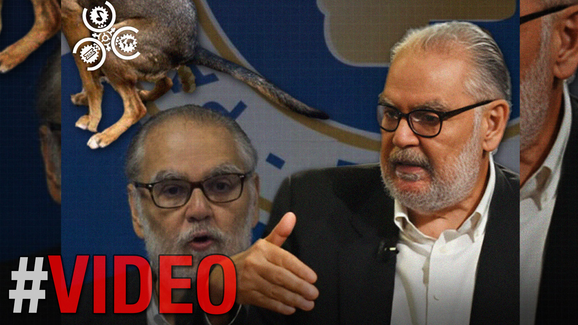 ¡Trabaja Para El Contrario!: Acusan A Ceara Hatton De Tirarle “un Cubo De Mierda” A Su Partido 