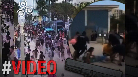 Tiroteo Siembra El Terror En Playa De Hollywood Beach | Nueve Heridos Incluyendo 3 Niños 