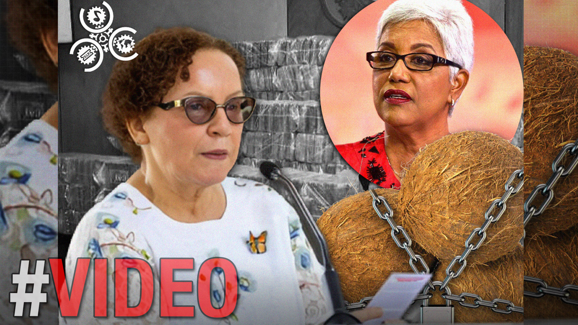  Altagracia Salazar: “Un Narco Tiene Que Tener Dos Cocos Para Amenazar Al Poder” 